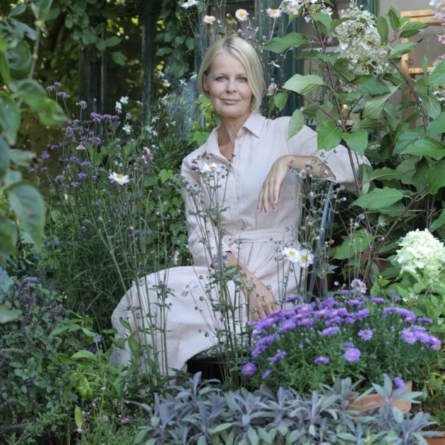 506442409_2755156221346843_3025588166233018248_n