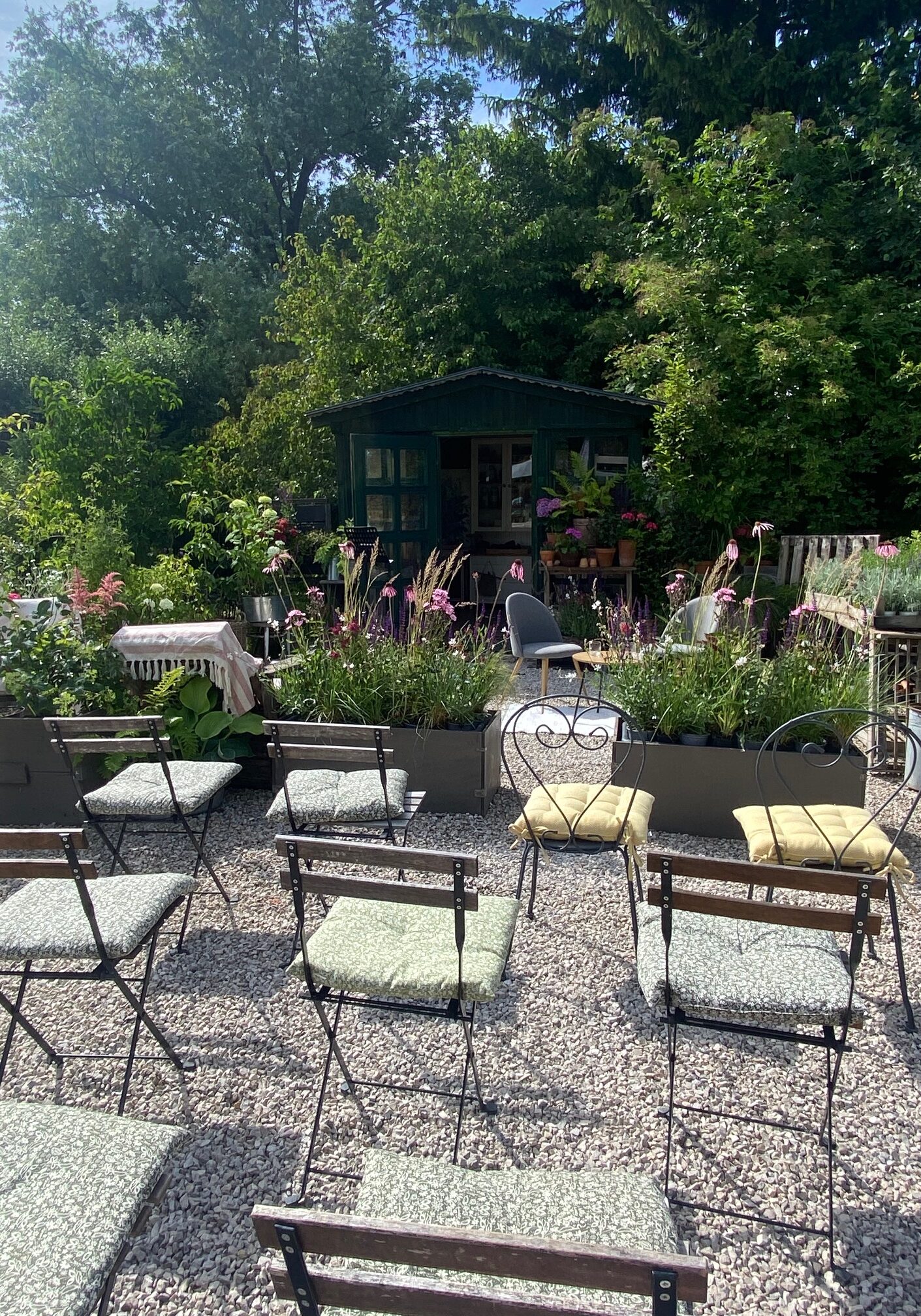 512043667_10236944371126155_7080049915845360991_n 512043667_10236944371126155_7080049915845360991_n