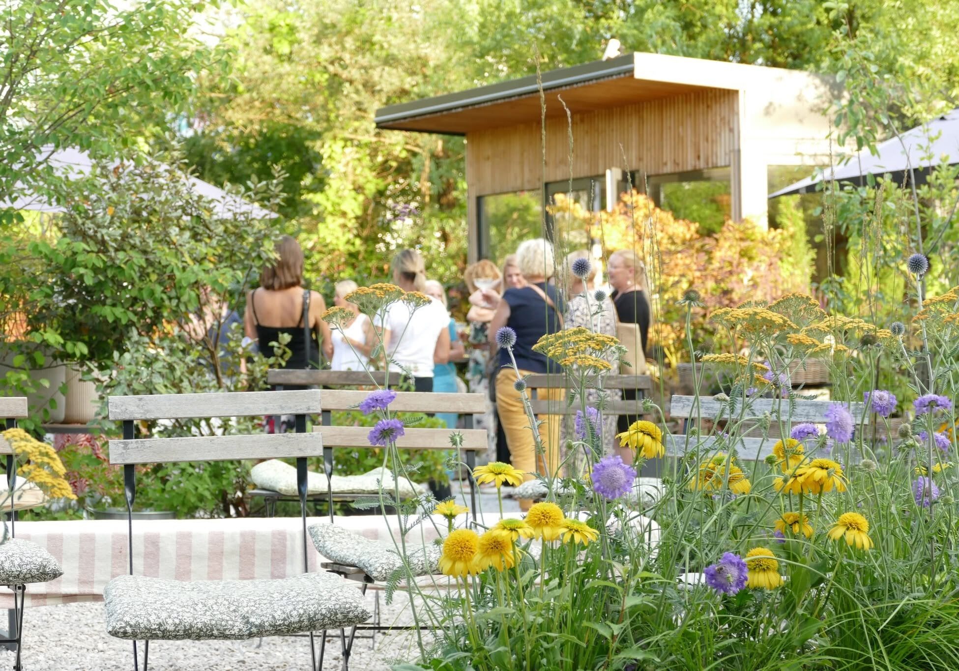 IMG_0041-1 IMG_0041-1